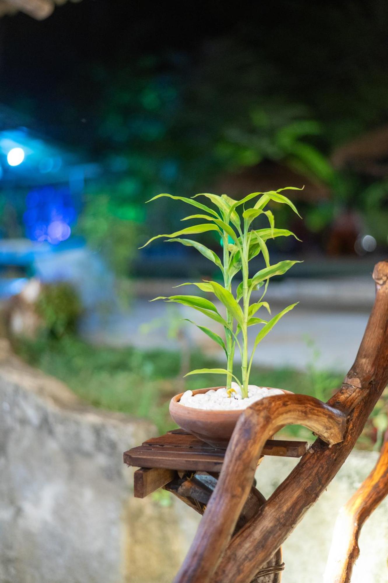 Ayurvedic Lanka Wellness Hotel Moragaswewa Luaran gambar